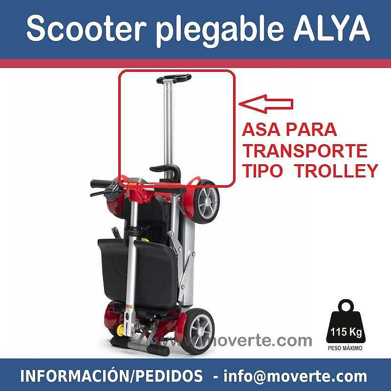 Asa para transporte Scooter Alya
